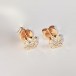 ALBERTO EARRINGS "NOW AND FOREVER"